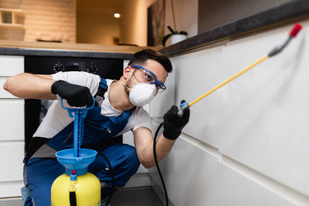 Best Pest Removal Services  in Gretna, NE