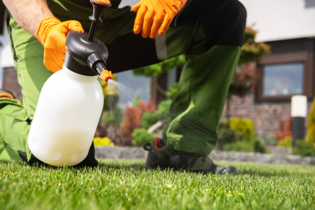 Best Best Pest Control Companies  in Gretna, NE