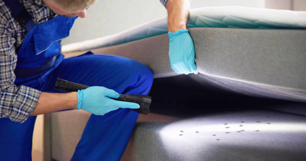 Best Affordable Pest Control Services  in Gretna, NE