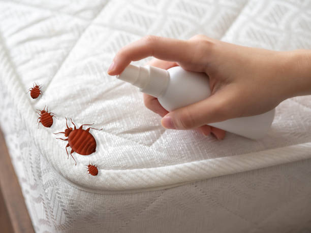 Pest Control for Restaurants in Gretna, NE