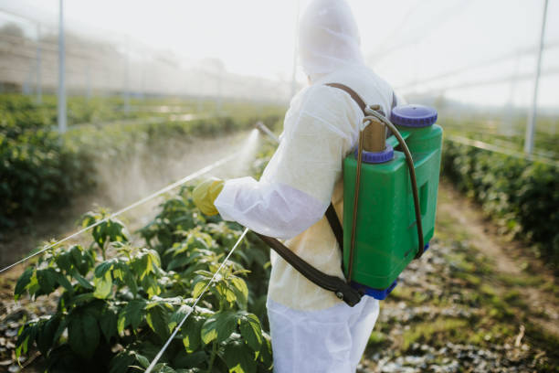Best Emergency Pest Control  in Gretna, NE